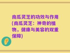 南瓜灵芝的功效与作用(南瓜灵芝：神奇的植物，健康与美容的双重保障)