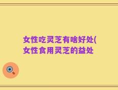 女性吃灵芝有啥好处(女性食用灵芝的益处