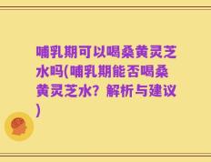 哺乳期可以喝桑黄灵芝水吗(哺乳期能否喝桑黄灵芝水？解析与建议)