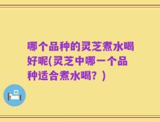 哪个品种的灵芝煮水喝好呢(灵芝中哪一个品种适合煮水喝？)