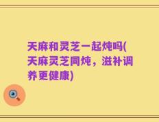 天麻和灵芝一起炖吗(天麻灵芝同炖，滋补调养更健康)