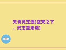 天青灵芝壶(蓝天之下，灵芝壶来袭)