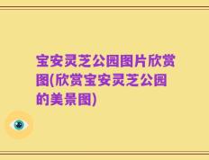 宝安灵芝公园图片欣赏图(欣赏宝安灵芝公园的美景图)