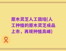 原木灵芝人工栽培(人工种植的原木灵芝成品上市，再现种植高峰)