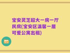 宝安灵芝超大一房一厅民房(宝安区温馨一居可爱公寓出租)