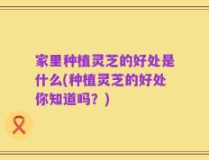家里种植灵芝的好处是什么(种植灵芝的好处你知道吗？)