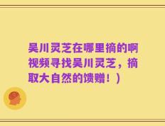 吴川灵芝在哪里摘的啊视频寻找吴川灵芝，摘取大自然的馈赠！)