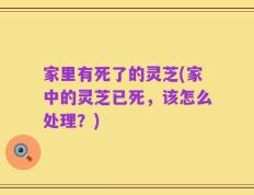 家里有死了的灵芝(家中的灵芝已死，该怎么处理？)