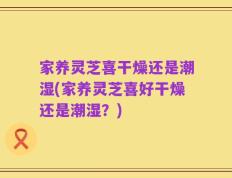 家养灵芝喜干燥还是潮湿(家养灵芝喜好干燥还是潮湿？)