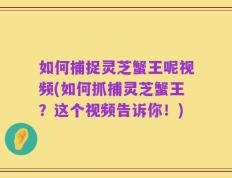 如何捕捉灵芝蟹王呢视频(如何抓捕灵芝蟹王？这个视频告诉你！)