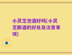 小灵芝泡酒好吗(小灵芝酿酒的好处及注意事项)