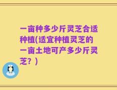一亩种多少斤灵芝合适种植(适宜种植灵芝的一亩土地可产多少斤灵芝？)