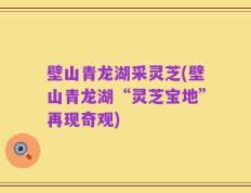 壁山青龙湖采灵芝(壁山青龙湖“灵芝宝地”再现奇观)