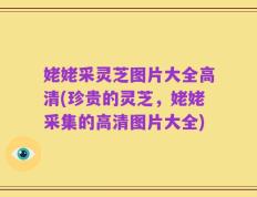 姥姥采灵芝图片大全高清(珍贵的灵芝，姥姥采集的高清图片大全)