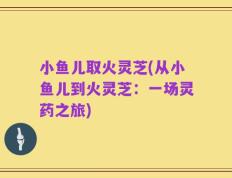 小鱼儿取火灵芝(从小鱼儿到火灵芝：一场灵药之旅)