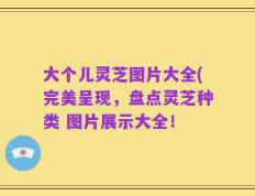 大个儿灵芝图片大全(完美呈现，盘点灵芝种类 图片展示大全！