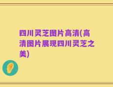 四川灵芝图片高清(高清图片展现四川灵芝之美)