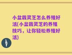 小盆栽灵芝怎么养殖好活(小盆栽灵芝的养殖技巧，让你轻松养殖好活)