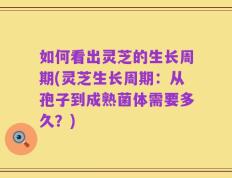 如何看出灵芝的生长周期(灵芝生长周期：从孢子到成熟菌体需要多久？)