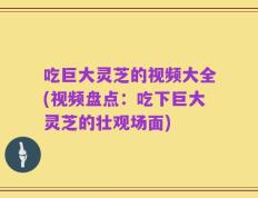 吃巨大灵芝的视频大全(视频盘点：吃下巨大灵芝的壮观场面)