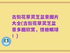 古街花草灵芝盆景图片大全(古街花草灵芝盆景多图欣赏，惊艳眼球！)