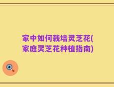 家中如何栽培灵芝花(家庭灵芝花种植指南)
