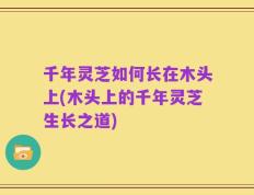 千年灵芝如何长在木头上(木头上的千年灵芝生长之道)