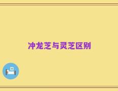 冲龙芝与灵芝区别