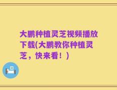 大鹏种植灵芝视频播放下载(大鹏教你种植灵芝，快来看！)