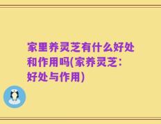 家里养灵芝有什么好处和作用吗(家养灵芝：好处与作用)