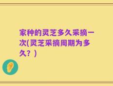 家种的灵芝多久采摘一次(灵芝采摘周期为多久？)