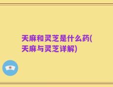 天麻和灵芝是什么药(天麻与灵芝详解)