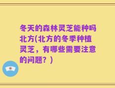 冬天的森林灵芝能种吗北方(北方的冬季种植灵芝，有哪些需要注意的问题？)