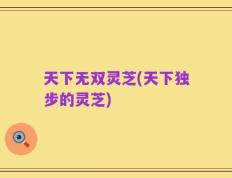 天下无双灵芝(天下独步的灵芝)