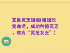 宜昌灵芝姐姐(姐姐改变命运，成功种植灵芝，成为“灵芝女王”)