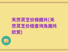 天然灵芝价格图片(天然灵芝价格查询及图片欣赏)