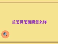 兰芝灵芝面膜怎么样