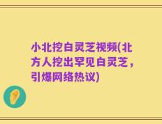 小北挖白灵芝视频(北方人挖出罕见白灵芝，引爆网络热议)