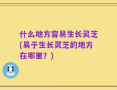 什么地方容易生长灵芝(易于生长灵芝的地方在哪里？)