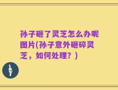 孙子砸了灵芝怎么办呢图片(孙子意外砸碎灵芝，如何处理？)