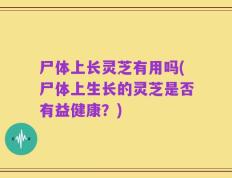 尸体上长灵芝有用吗(尸体上生长的灵芝是否有益健康？)