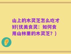 山上的木灵芝怎么吃才好(优美食灵：如何食用山林里的木灵芝？)
