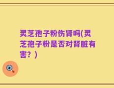 灵芝孢子粉伤肾吗(灵芝孢子粉是否对肾脏有害？)