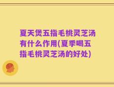 夏天煲五指毛桃灵芝汤有什么作用(夏季喝五指毛桃灵芝汤的好处)