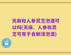 天麻和人参灵芝泡酒可以吗(天麻、人参和灵芝可用于自制浸泡酒)
