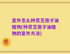 室外怎么种灵芝孢子油植物(种灵芝孢子油植物的室外方法)