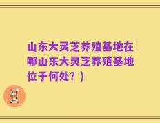山东大灵芝养殖基地在哪山东大灵芝养殖基地位于何处？)
