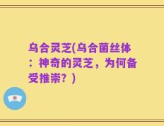 乌合灵芝(乌合菌丝体：神奇的灵芝，为何备受推崇？)