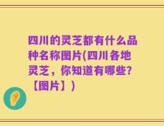 四川的灵芝都有什么品种名称图片(四川各地灵芝，你知道有哪些？【图片】)