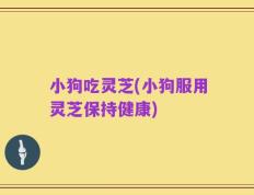 小狗吃灵芝(小狗服用灵芝保持健康)